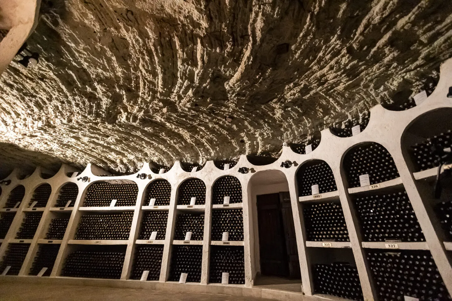 Wine Festival — photo 14